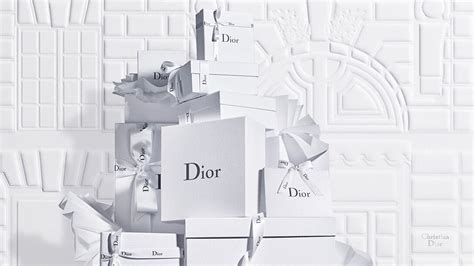 christian dior eshop|christian dior official page.